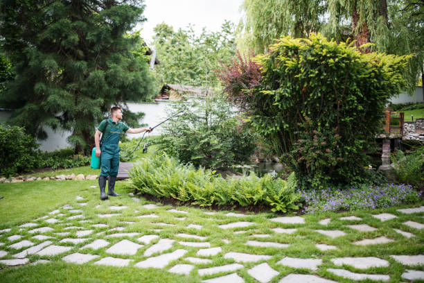 Best Pest Prevention Services  in , MN