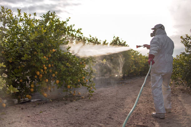 Best Residential Pest Control  in , MN