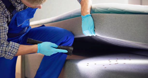 Best Termite Control Services  in , MN