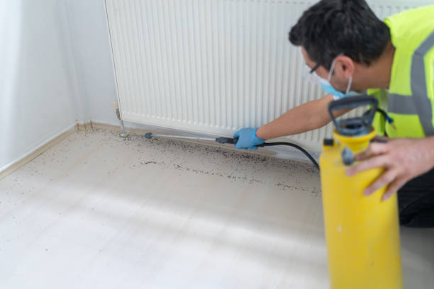 Best Pest Control for Businesses  in , MN