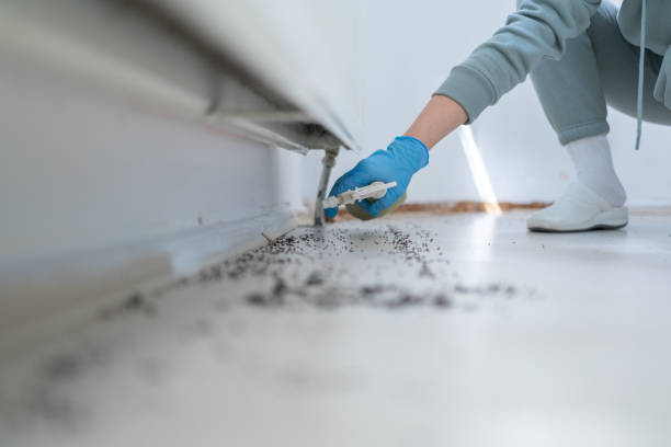 Best Pest Prevention Services  in , MN